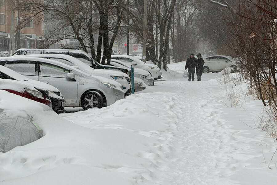 Мы ожидаем еще как минимум месячную норму сегоднязавтра что сказал мэр Благовещенска об очистке улиц 