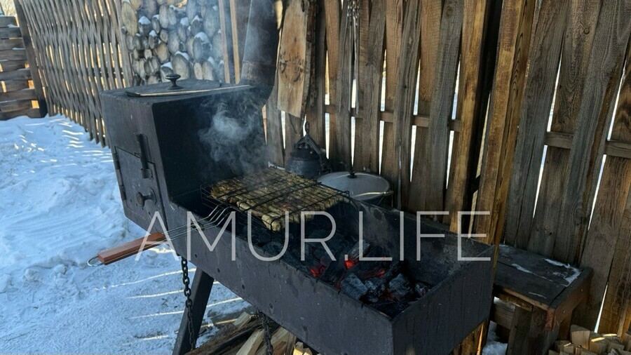 Мангалы под запретом штраф до 800 тысяч в Благовещенске начал действовать особый противопожарный режим
