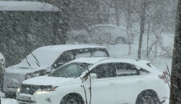 Снегопад в Благовещенске стал историческим