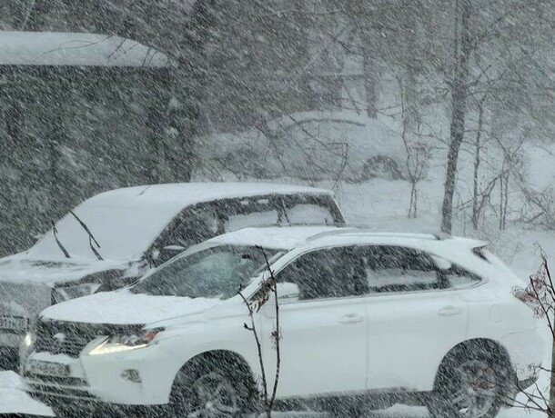Снегопад в Благовещенске стал историческим