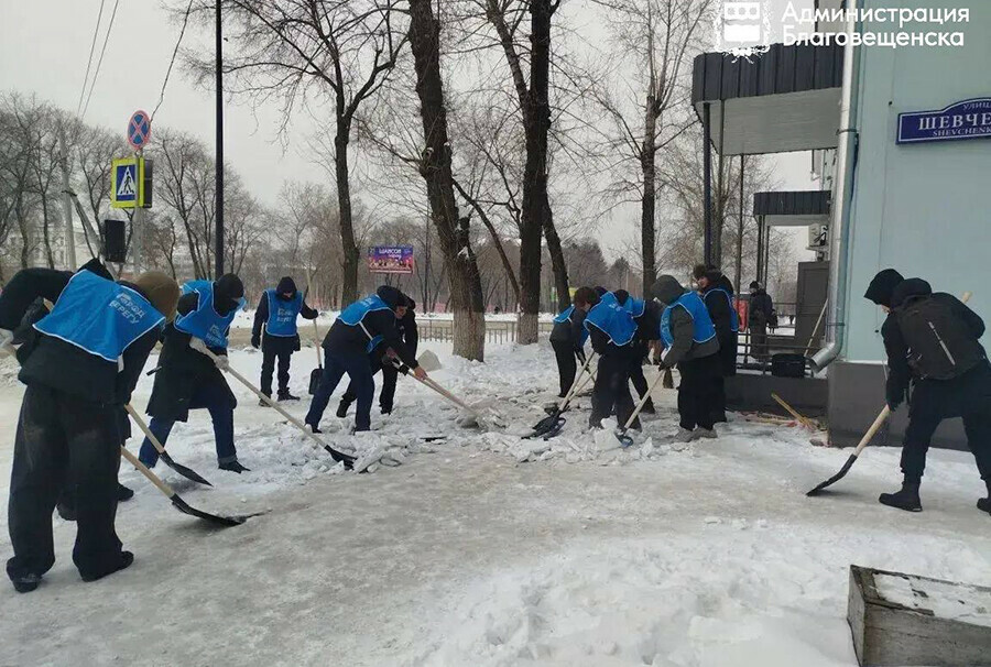 Снег в Благовещенске убирают библиотекари и студенты фото
