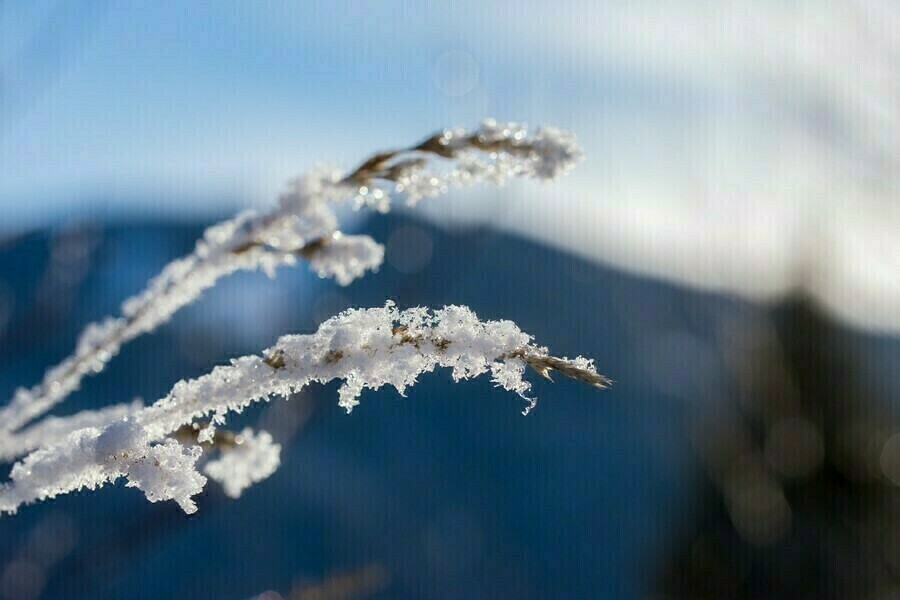 Первый день календарной весны отметится в Благовещенске морозами ниже 30