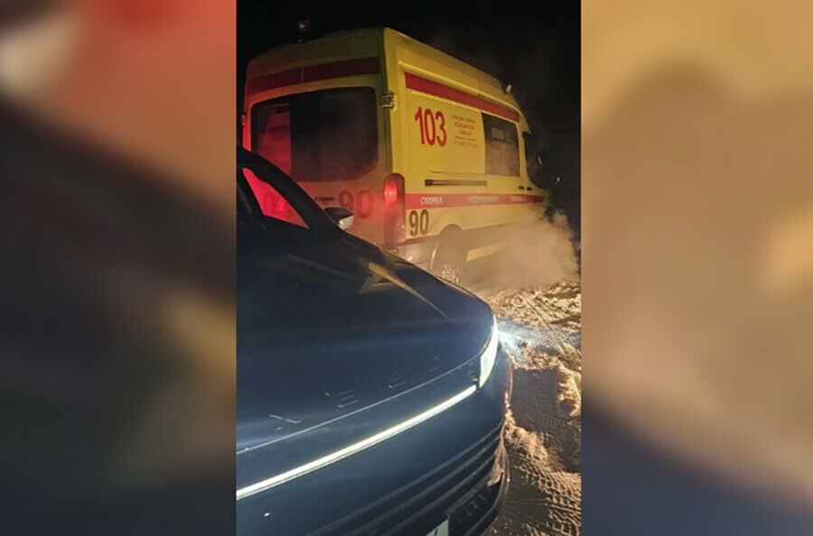 В Благовещенске собака помогла найти мужчину Он погиб 