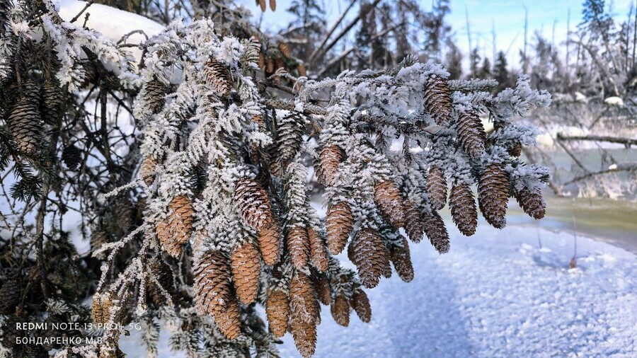 Весна затемпературила прогноз погоды на 2 марта