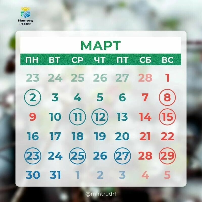 В Госдуме рассказали будет ли 6 марта сокращенным днем