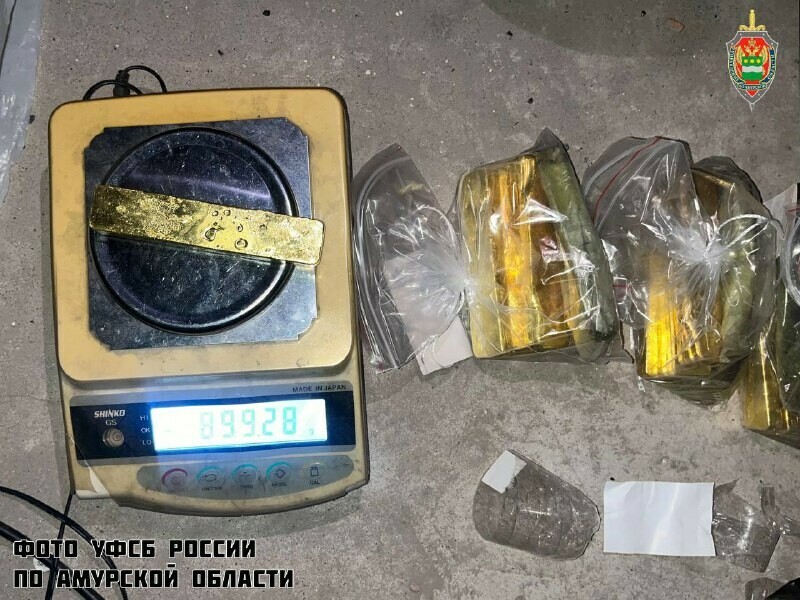 Страх заставил иностранца спрятать золото в арендованной квартире в Благовещенске