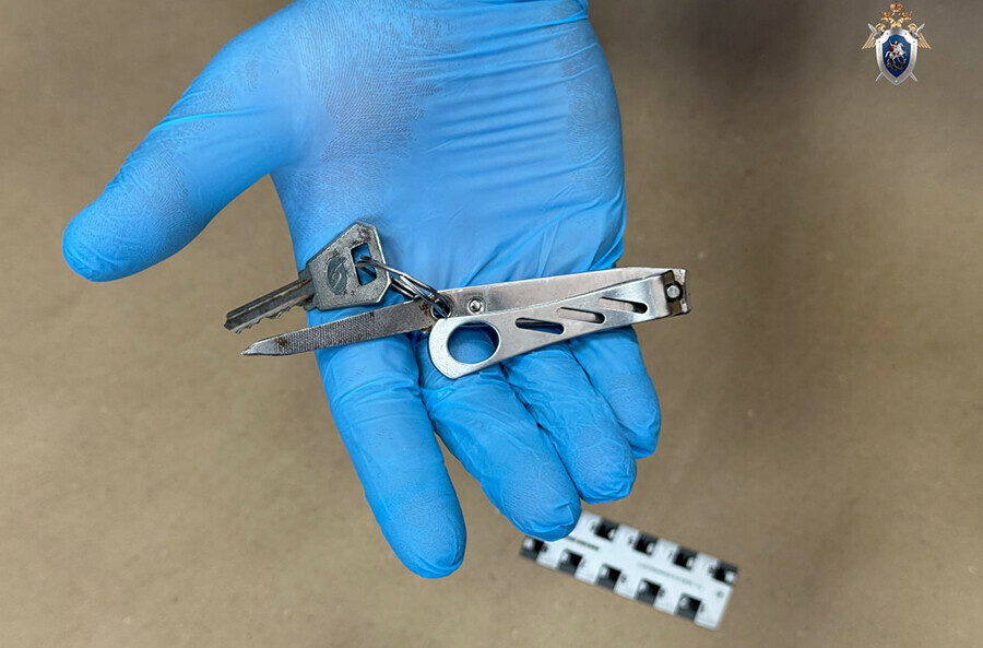 Амурчанин вонзил в сердце знакомому заточенный книпстер