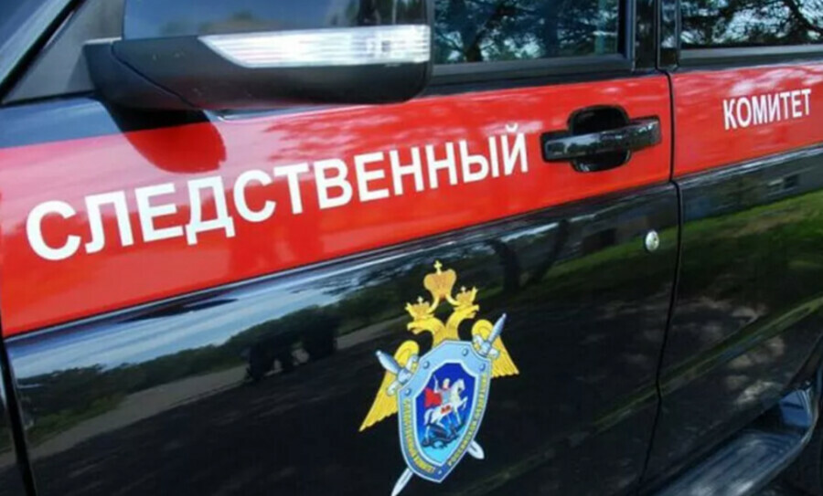 Погибшую на Дальнем Востоке пенсионерку обглодали кошки