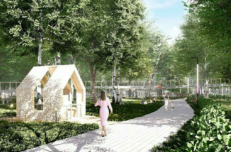 На набережной Амура в Благовещенске подрастает Амурский лес