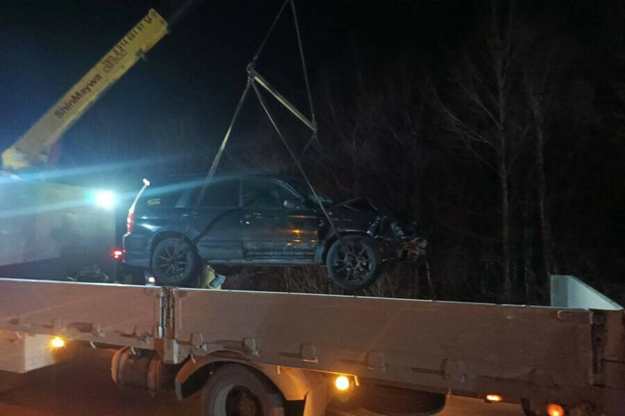 Женщина на кроссовере ночью сбила на дороге тигра