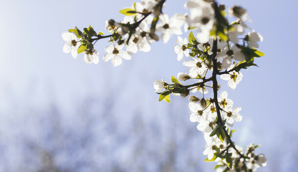 8 марта будет не совсем весенним прогноз погоды