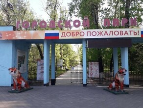 Губернатор Приамурья о парках Благовещенска мне абсолютно не нравится