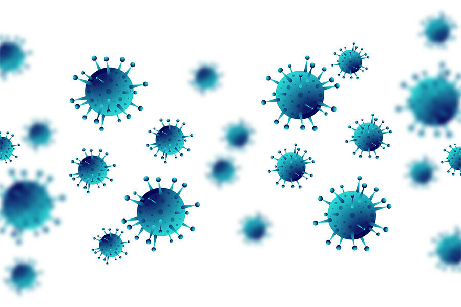 Какие вирусы доминируют сейчас в Амурской области  