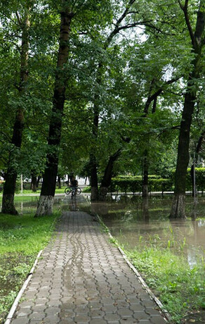 В центре Благовещенска хотят благоустроить очередной сквер Горожан просят поделиться идеями