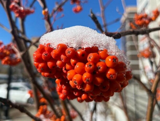 Амурчанам пока не стоит ждать привычную весну Что будет с погодой 