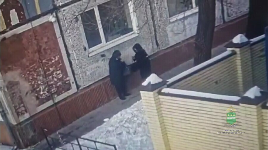 Благовещенская пенсионерка отдала мошенникам больше 20 миллионов 10 из которых передала после пароля ласточка в небе видео