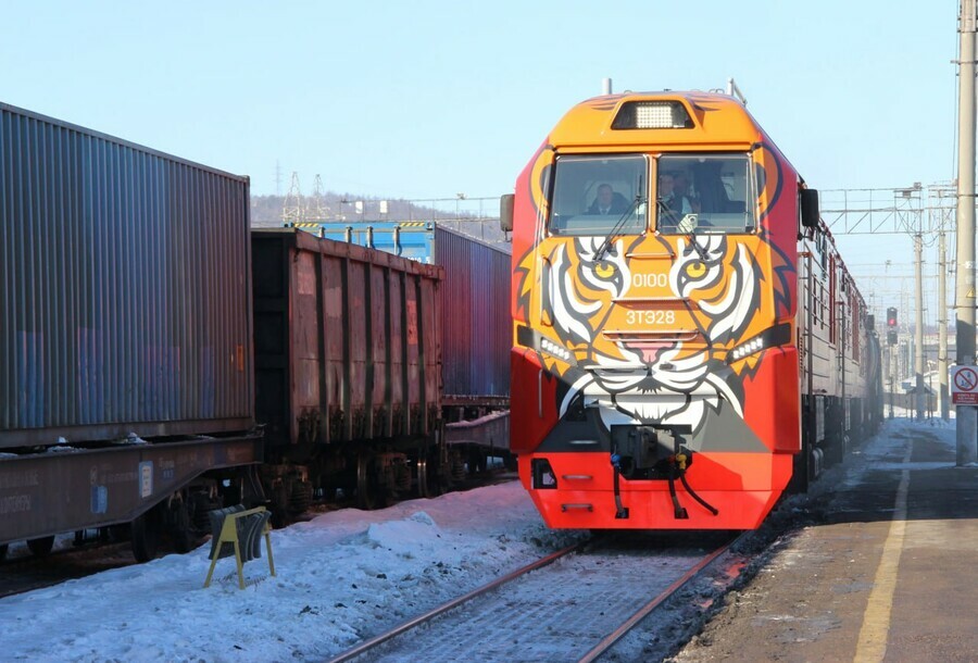 В Амурскую область прибыл тигриный поезд