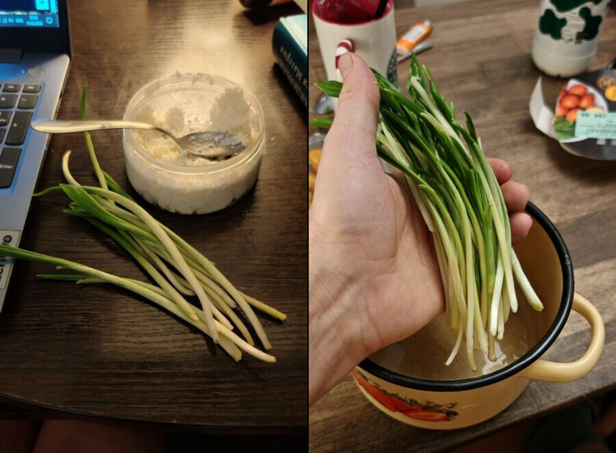 Мужчине вместо черемши продали ядовитую траву