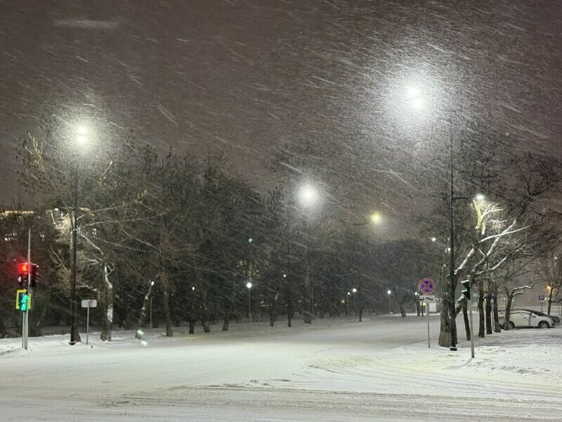 В субботу в Амурской области пойдет снег прогноз погоды на 14 марта