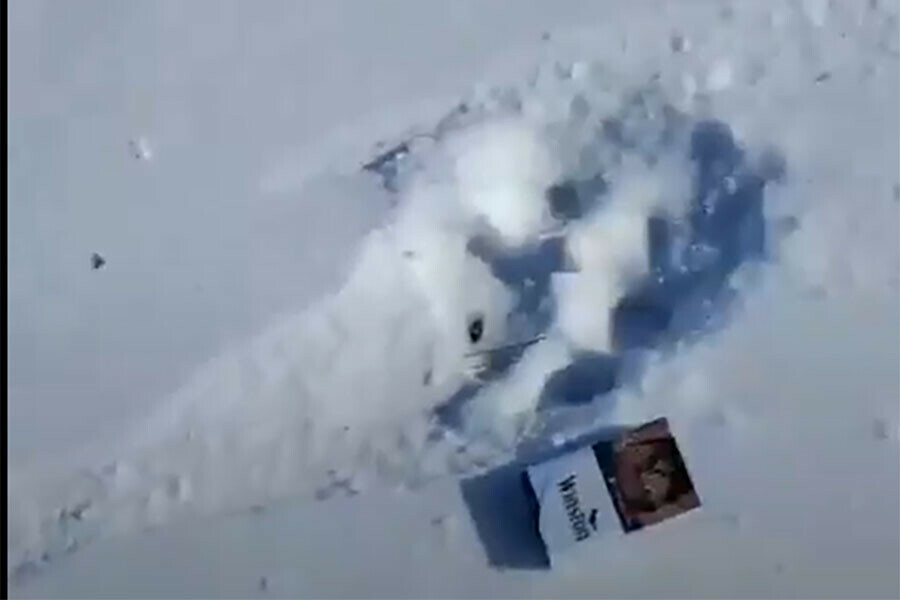 К общению с человеком он не стремится специалисты объяснили появление тигра около амурского села Ивановка