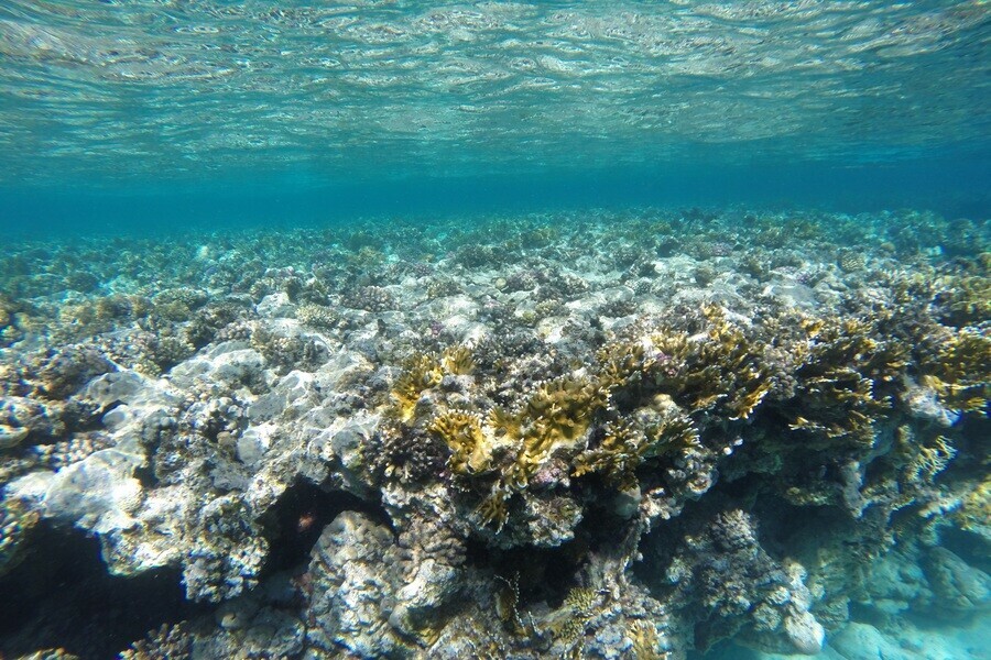 Россияне стали отменять авиабилеты и отели в Таиланд и на Бали