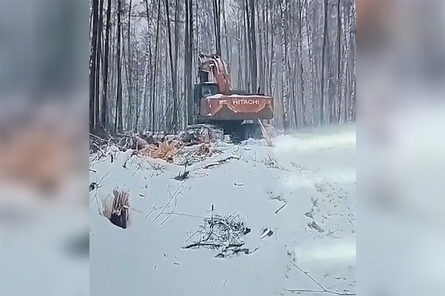 Опубликовано видео как ради золота в Амурской области  уничтожают лес