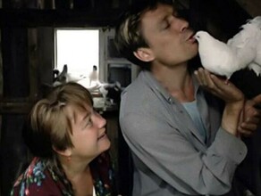 Россияне назвали Любовь и голуби лучшим фильмом о любви