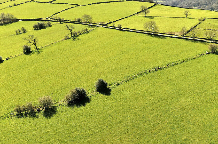 700 тысяч квадратов земли незаконно отдали в аренду в Амурской области