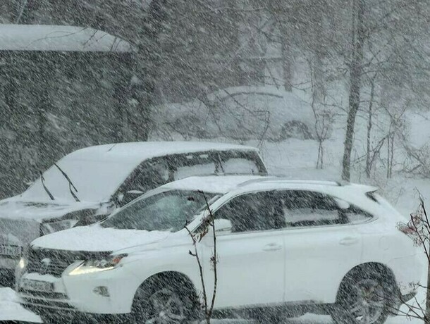 Весна откладывается в Приамурье прогнозируют очередной сильный снегопад