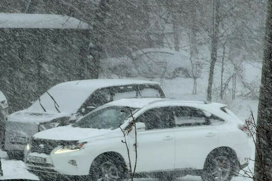 Весна откладывается в Приамурье прогнозируют очередной сильный снегопад