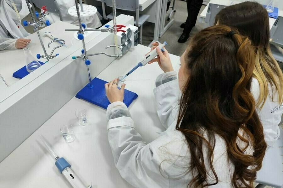 Электроника информатика медицина количество бюджетных мест по некоторым специальностям в вузах увеличат