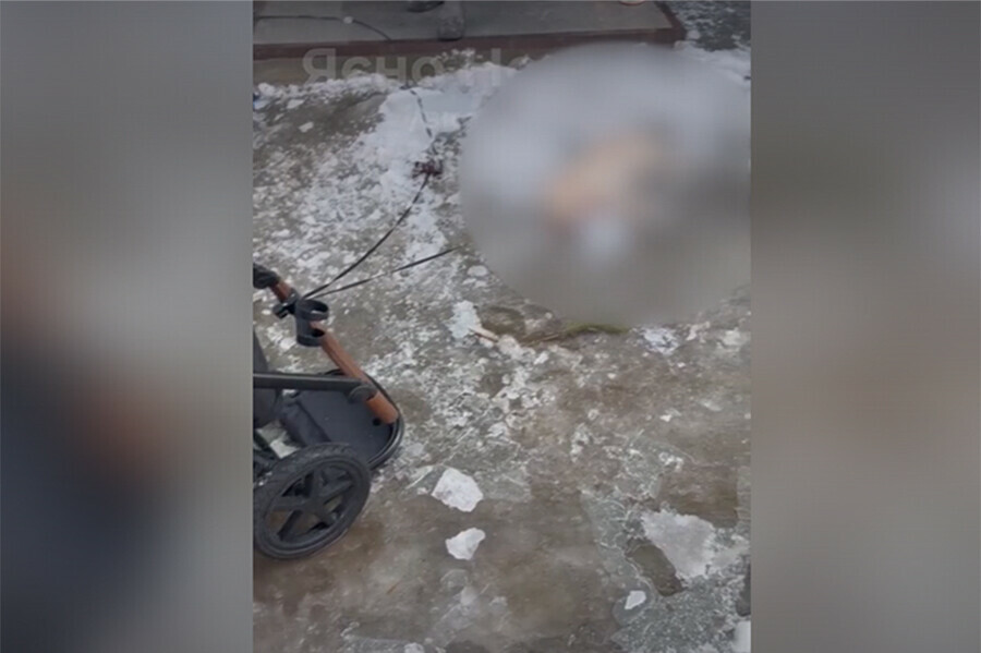 На двух женщин и ребенка в коляске с крыши свалились лед и снег 