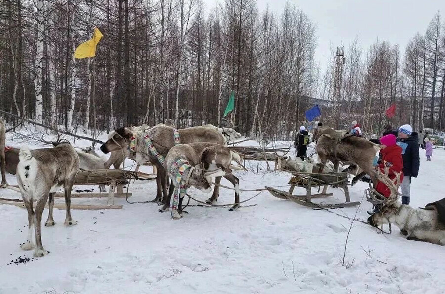 Покормили огонь и очистили душу эвенки на севере Амурской области фото