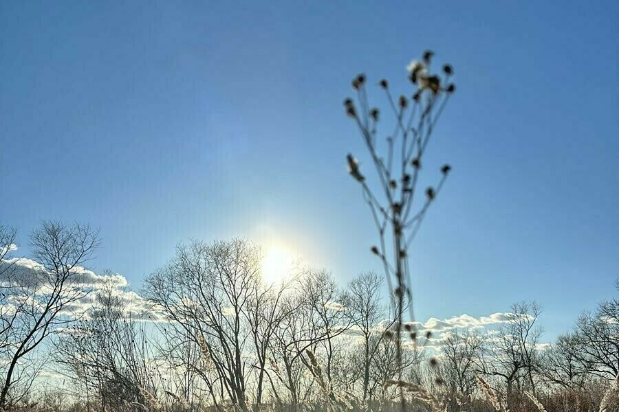 Дальний Восток первым встретит астрономическую весну