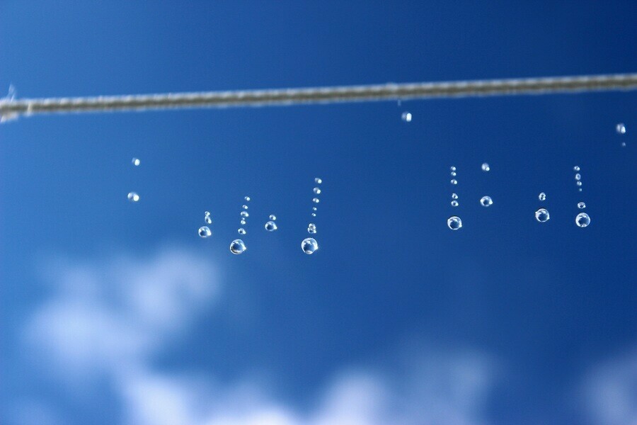 Настоящим весенним теплом отметится последний день недели в Приамурье 