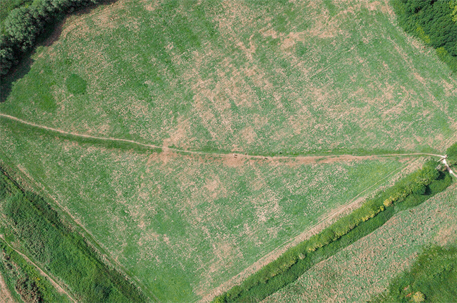 Земельный контроль в Приамурье пробуют осуществлять с помощью ИИ