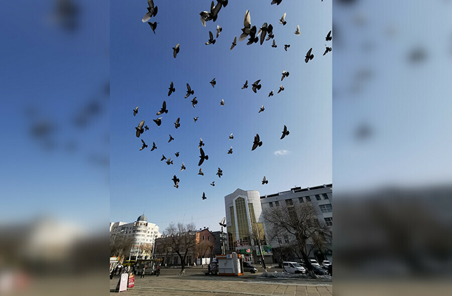 Поднимется ветер прогноз погоды в Амурской области на 16 февраля