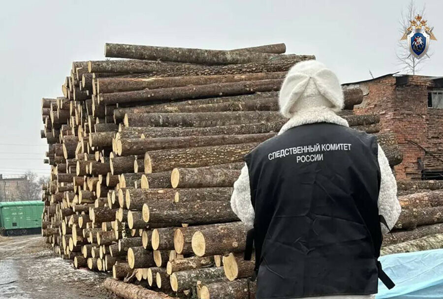 Мальчика убило бревном в Приморье