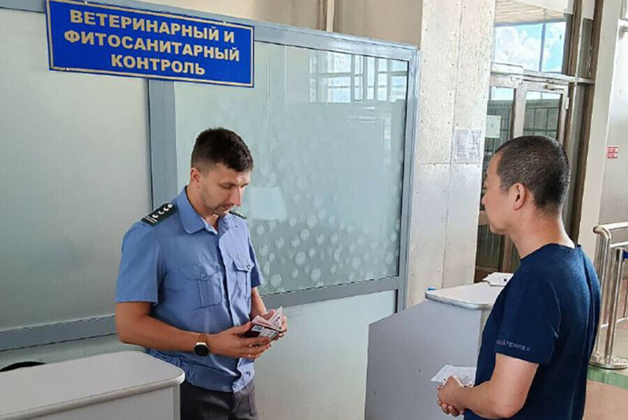 Около 100 килограммов мяса изъяли у граждан на границе Хэйхэ и Благовещенска