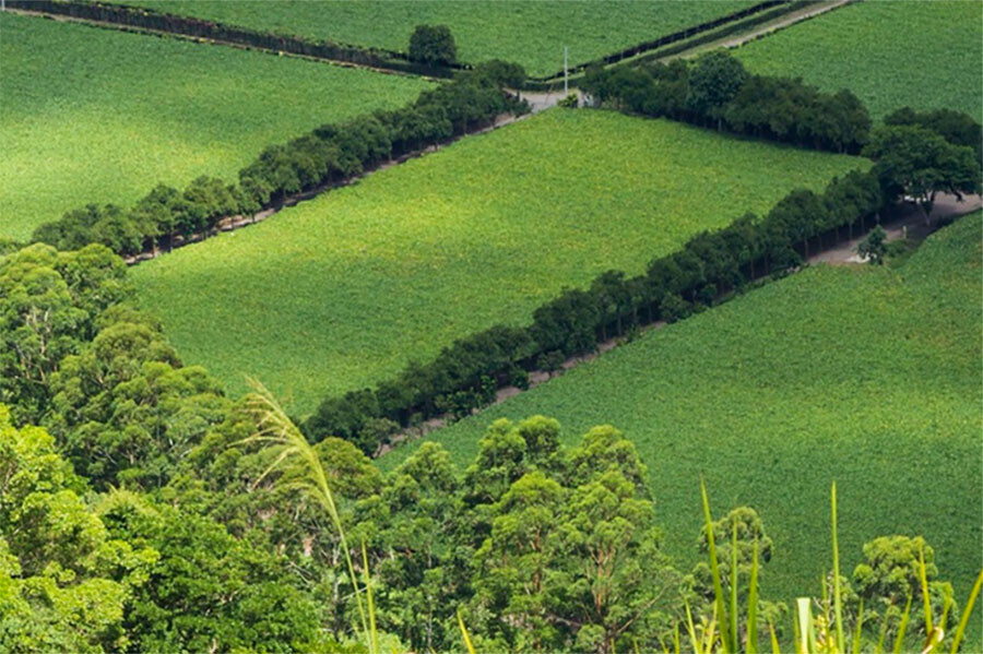 Для матерейгероинь Амурской области ввели новую меру поддержки