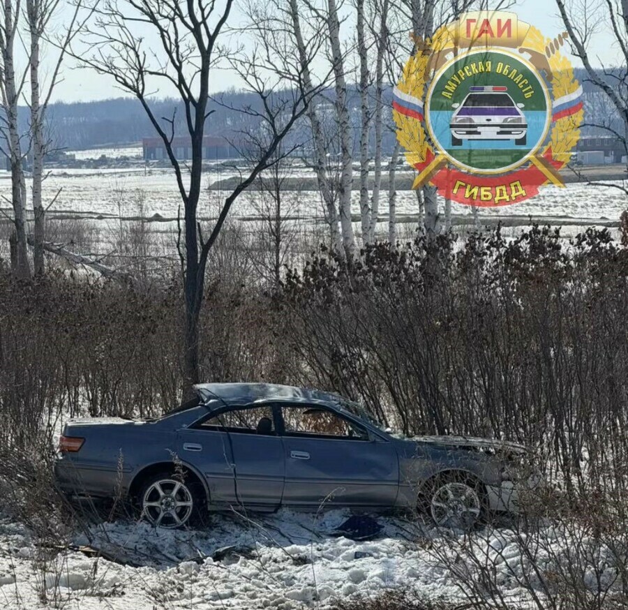 На трассе Благовещенск  Свободный перевернулась иномарка пять человек ранены