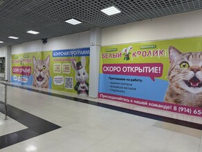 В ТРЦ Острова поселится Белый кролик