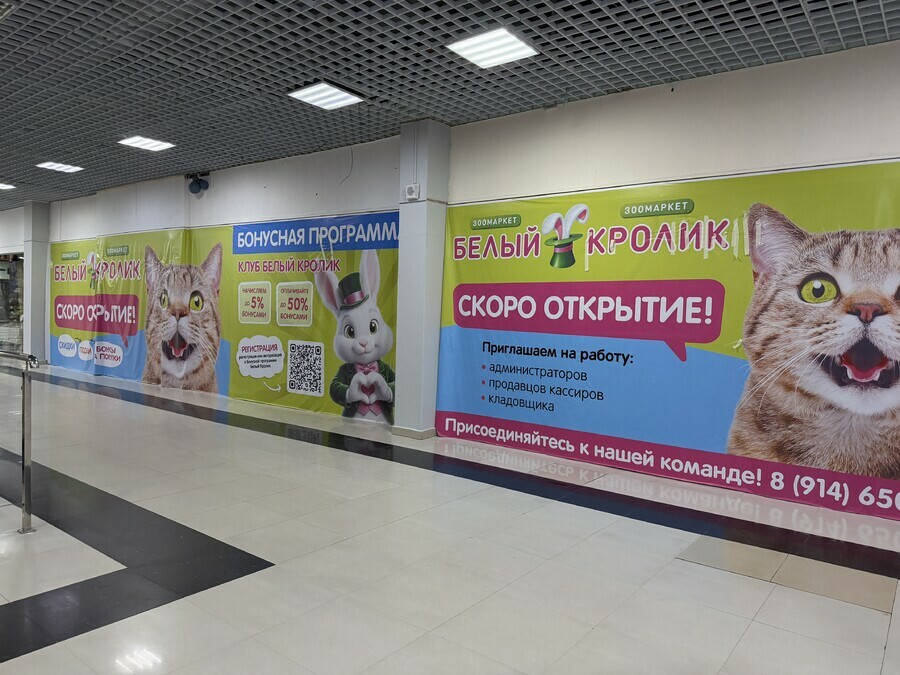В ТРЦ Острова поселится Белый кролик