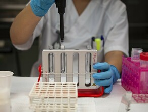 В России зарегистрировали тест для выявления британского штамма коронавируса