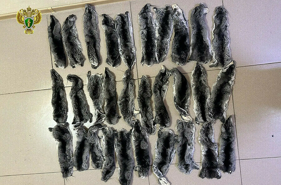 За контрабанду ценных шкурок китаянке придется сидеть в Приамурье