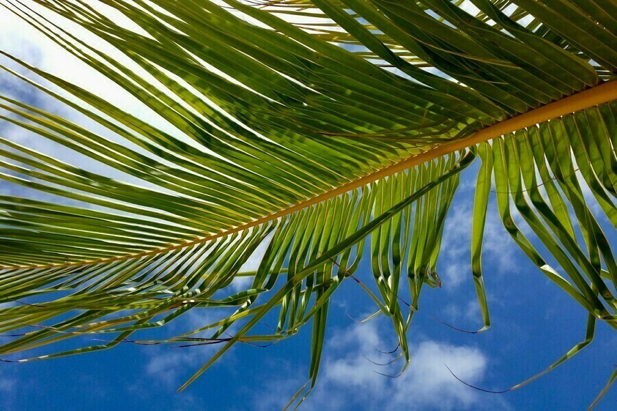 Как на фоне конфликта на Ближнем Востоке изменились цены на российские туры в Китай Таиланд и Вьетнам