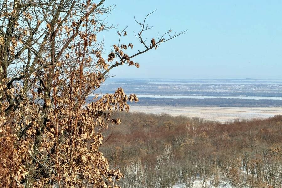 Зима вернется в Амурскую область на текущей неделе Ждать ли снегопады 