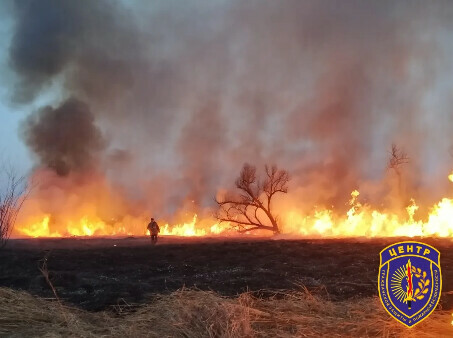 В Приамурье зафиксировали первый лесной пожар