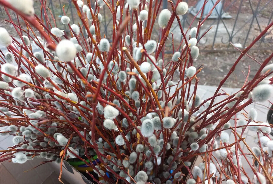 Прогноз погоды в Амурской области на 2 апреля