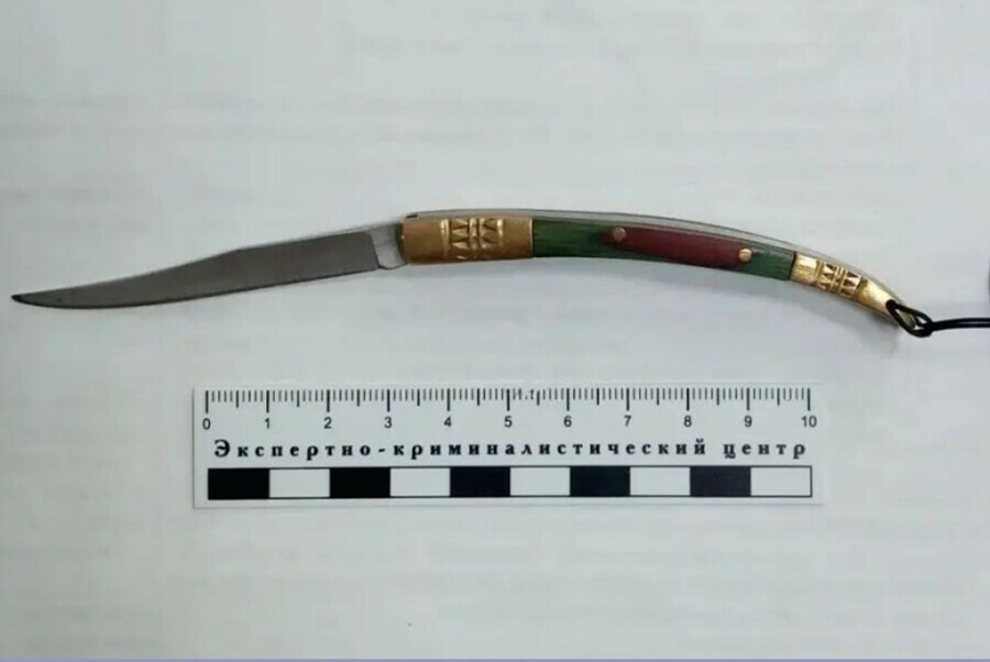 Женщина с ножом пыталась пройти в суд Благовещенска